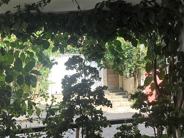Apartamento Com 2 Quartos No Centro De Pipa Praia de Pipa Екстер'єр фото